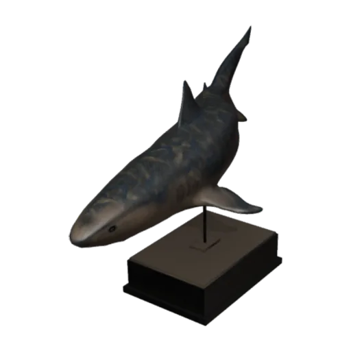 Bronze Shark Statue, a 3D model you can turn