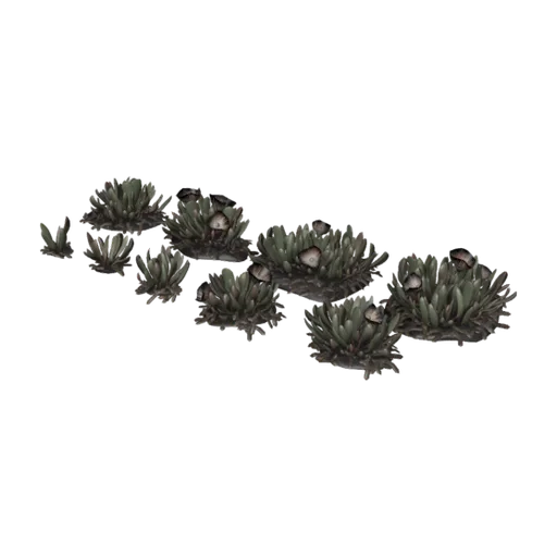 Cheiridopsis Succulent, a 3D model you can turn