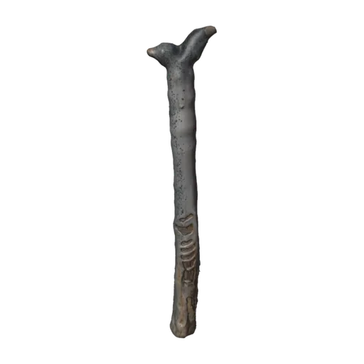 Dead Quiver Trunk, a 3D model you can turn