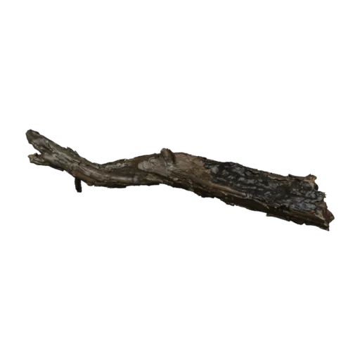 Dead Tree Trunk 02, a 3D model you can turn