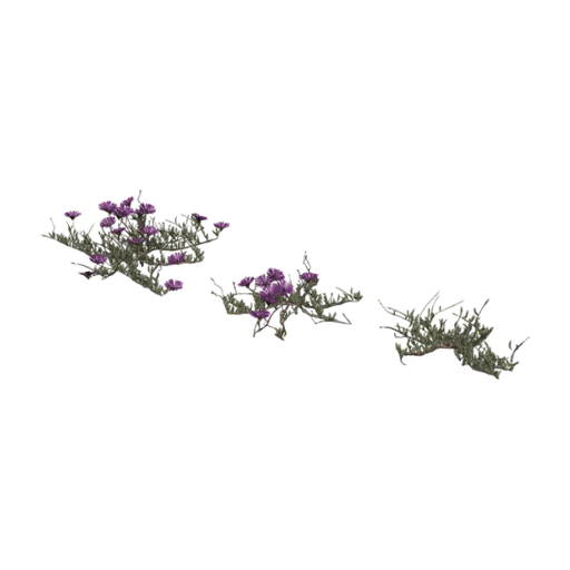 Leipoldtia Schultzei, a 3D model you can turn