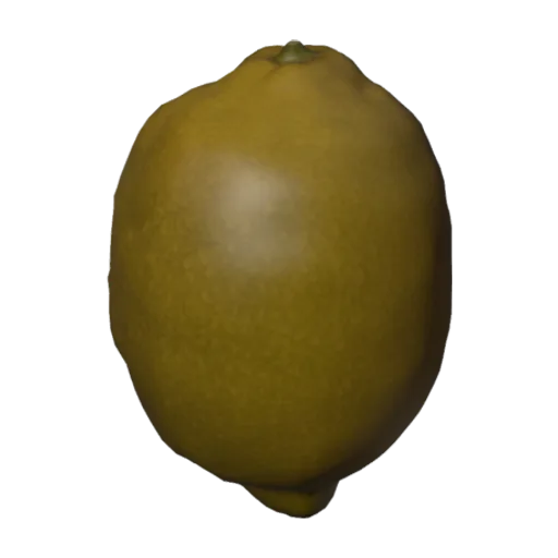 Lemon, a 3D model you can turn