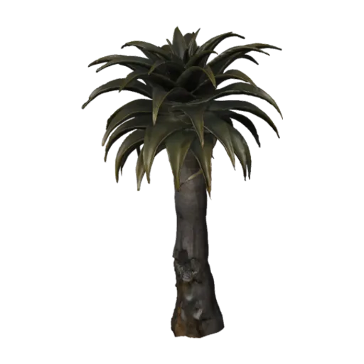 Quiver Tree 02, a 3D model you can turn