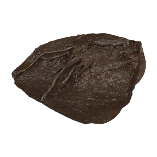 Root Cluster 01, a 3D model you can turn
