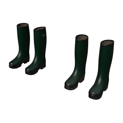 Rubber Boots, a 3D model you can turn