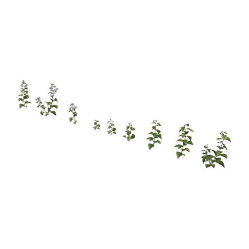 Shrub 01, a 3D model you can turn