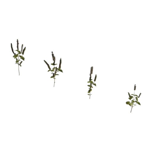Shrub 03, a 3D model you can turn