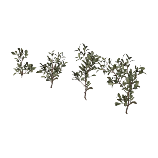 Shrub 04, a 3D model you can turn