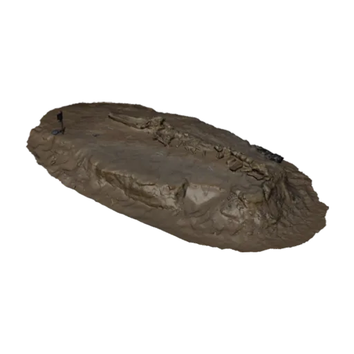 Fossil whale excavation site MPC 675, a 3D model you can turn
