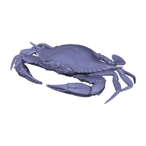 Blue Crab, a 3D model you can turn