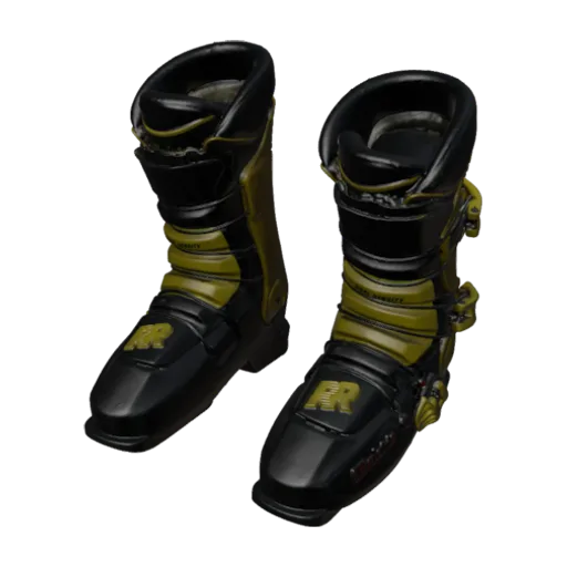 Ski boots worn by Seba Johnson, a 3D model you can turn