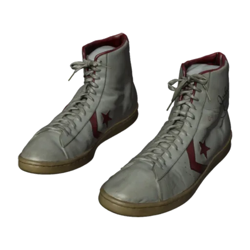 Sneakers worn by Julius "Dr. J" Erving and inscribed to Doc Stanley, a 3D model you can turn