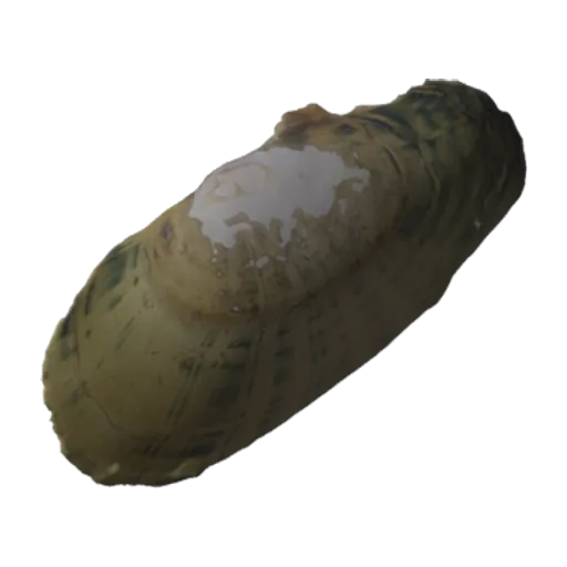 Hemistena lata, a 3D model you can turn