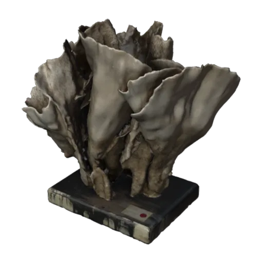 Gemmipora brassica, a 3D model you can turn