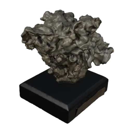 Manopora lichen, a 3D model you can turn