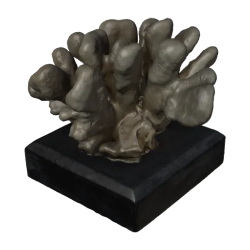 Sideropora mordax, a 3D model you can turn