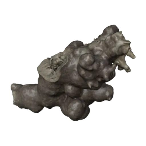 Schizoporella unicornis, a 3D model you can turn
