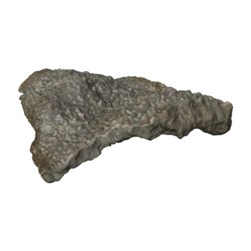 Montipora marshallensis, a 3D model you can turn