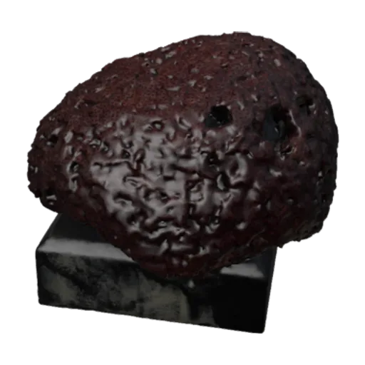 Tubipora musica, a 3D model you can turn