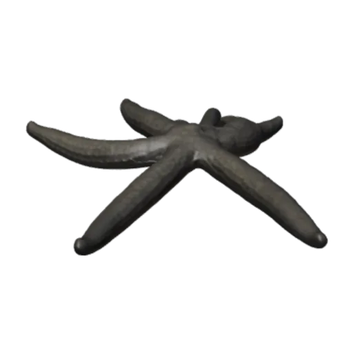 Linckia laevigata, a 3D model you can turn