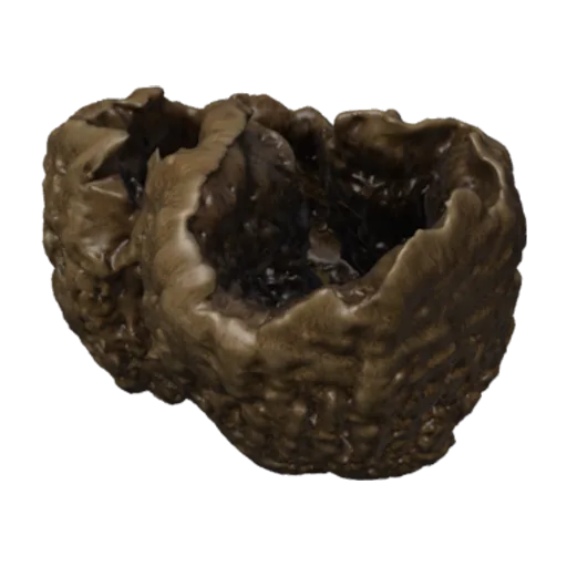 Spongia graminea tampa, a 3D model you can turn