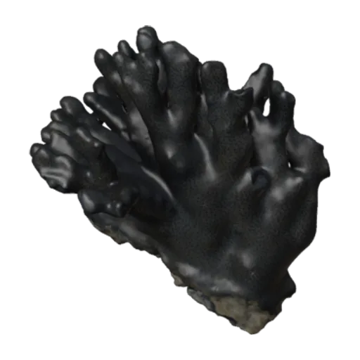 Heliopora coerulea, a 3D model you can turn