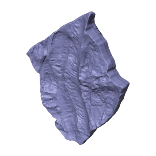 Genus indet. sp indet. Walcott, a 3D model you can turn