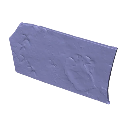 Genus indet. sp indet., a 3D model you can turn