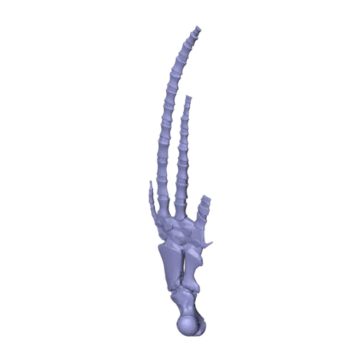 Globicephala melas (Traill, 1809), a 3D model you can turn