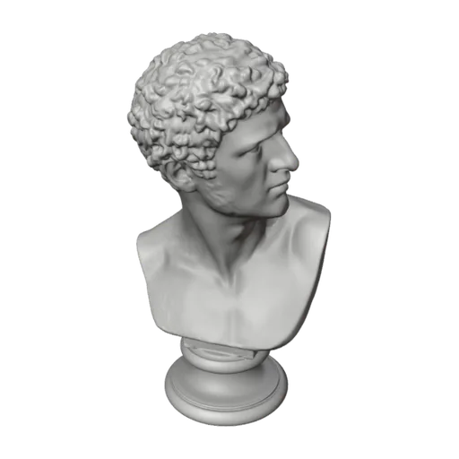 Bearded man with head turned to the left, a 3D model you can turn